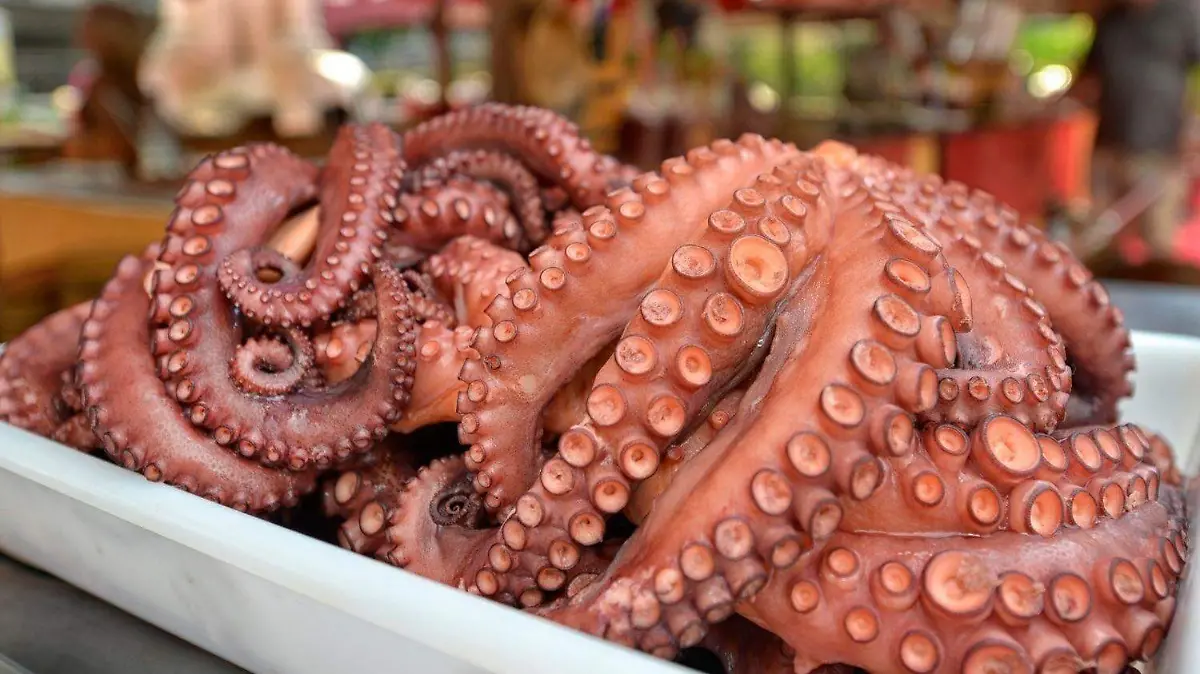 pulpo marsicos